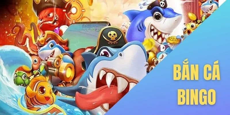 Bắn cá Bingo Bắn cá bingo hấp dẫn