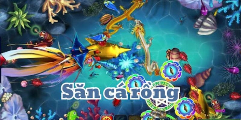 bắn cá rồng Nên chơi săn cá rồng ở đâu cho uy tín?