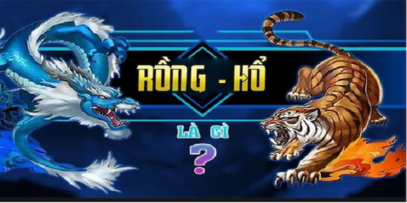 Rồng hổ Game rồng hổ là gì?