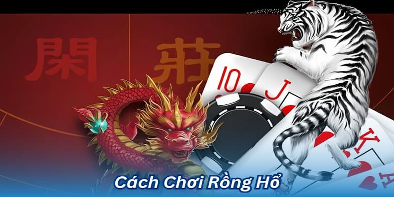 Rồng hổ Cách chơi rồng hổ dễ hiểu