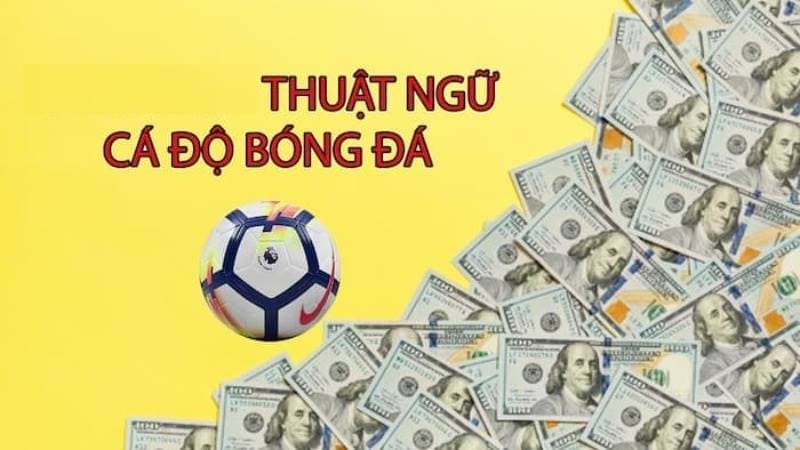 thuật ngữ cá độ bóng đá thuật ngữ cá độ bóng đá